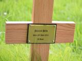 image of grave number 738970